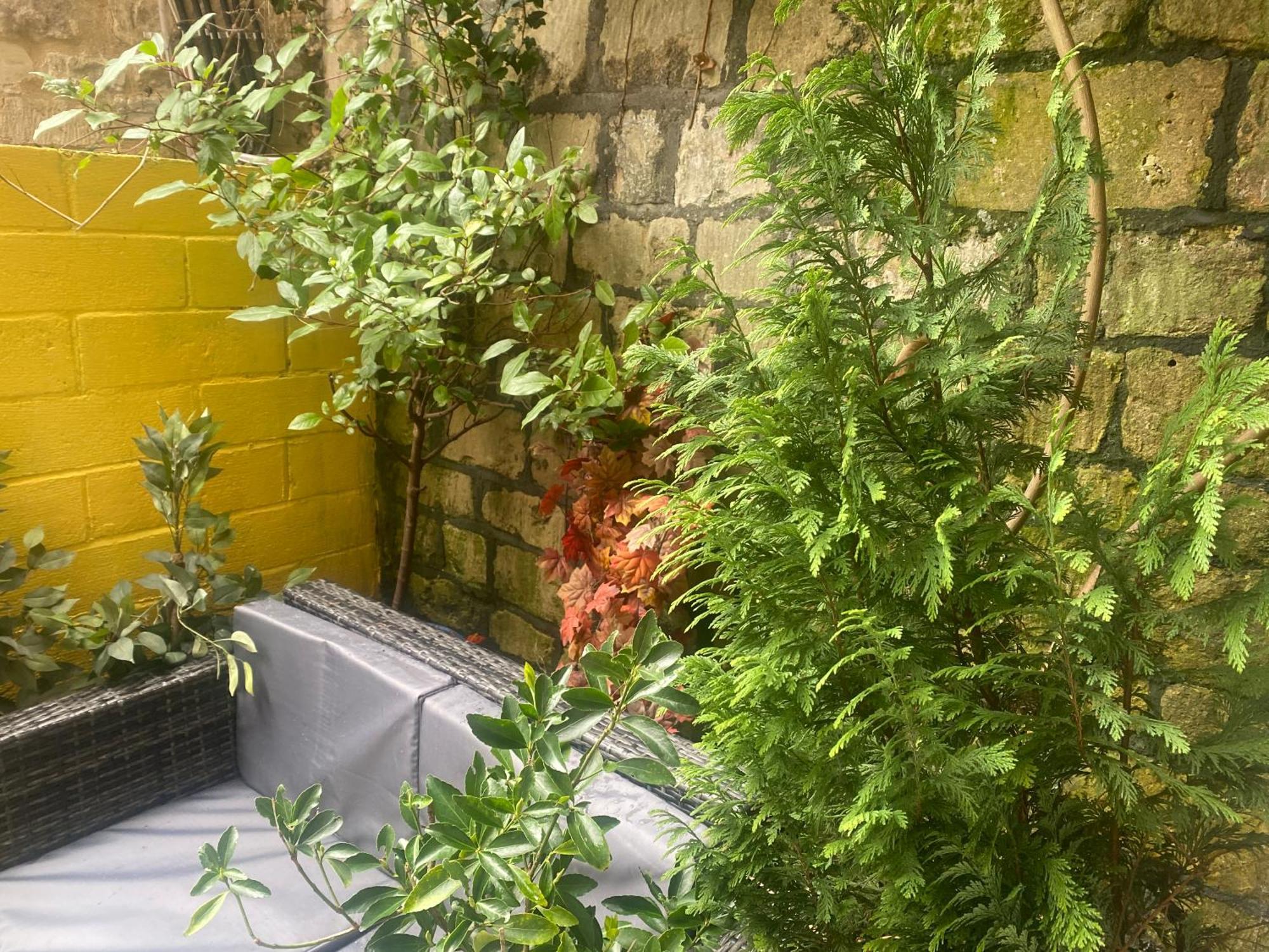 Quiet Lower Floor 2 Bed City Apartment With Private Patio Garden Bath Luaran gambar